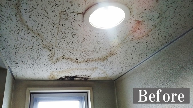 カビが発生した天井を安心安全な環境対応型特殊洗浄G-Eco工法で施工前