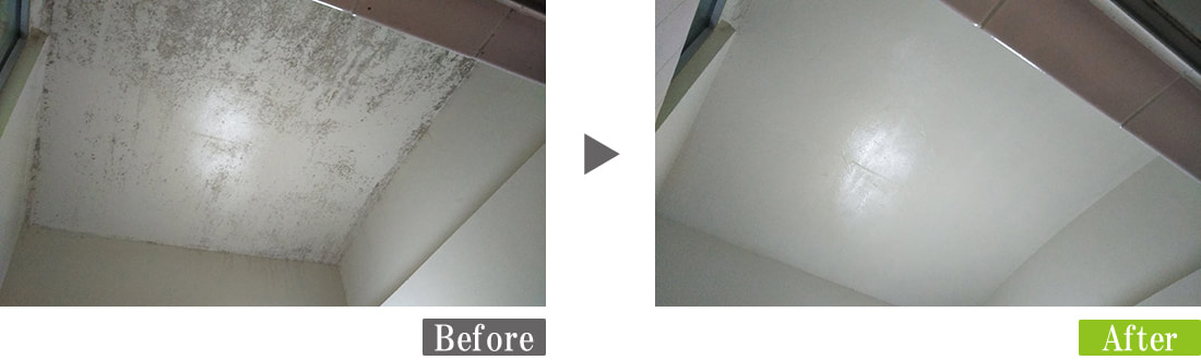 環境対応型特殊洗浄G-Eco工法で浴室天井のカビ取り・防カビ施工