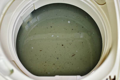 カビ（真菌）汚れの洗濯槽